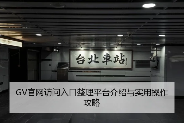 GV官网访问入口整理平台介绍与实用操作攻略